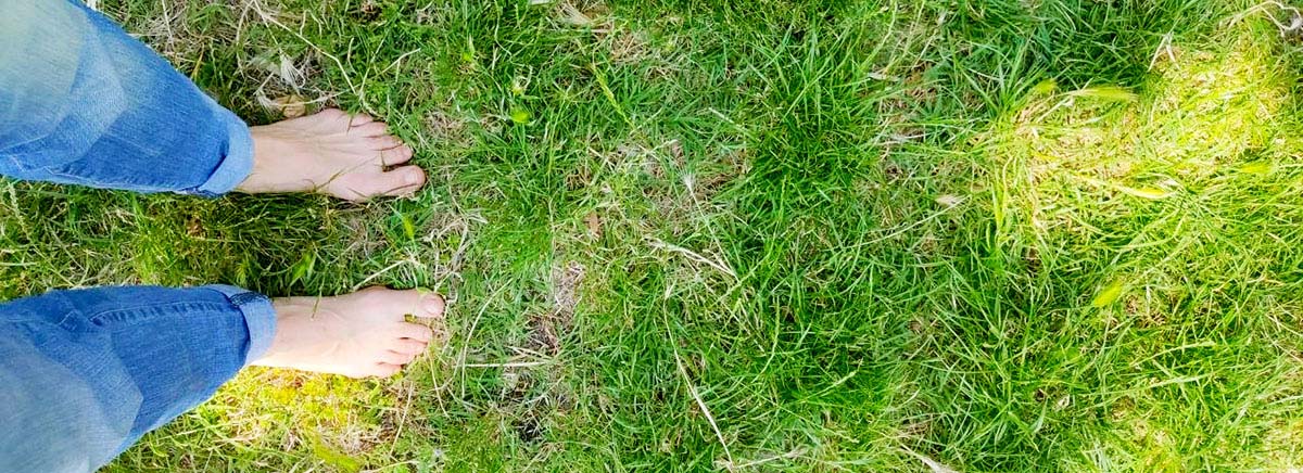Piedi scalzi di Silvia Maiorana sull'erba: la natura come rimedio al sovraccarico di stimoli delle Persone Altamente Sensibili